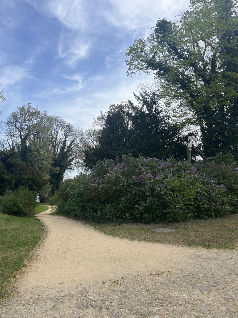 Appartements im Schlosspark - Header